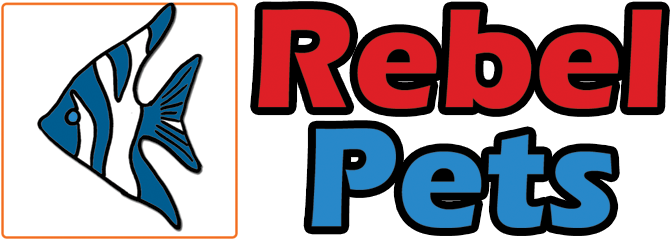 Online Pet Shop - Pet Store (1025x250)