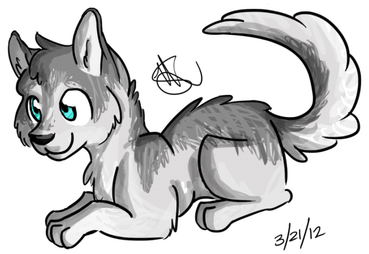 Large Size Of Drawing - Cute Drawing Of Husky (900x647)