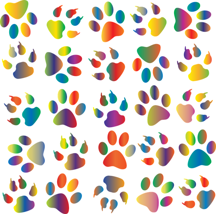 Fun Borders For Word 11, Buy Clip Art - Colorful Paw Print Background (726x720)