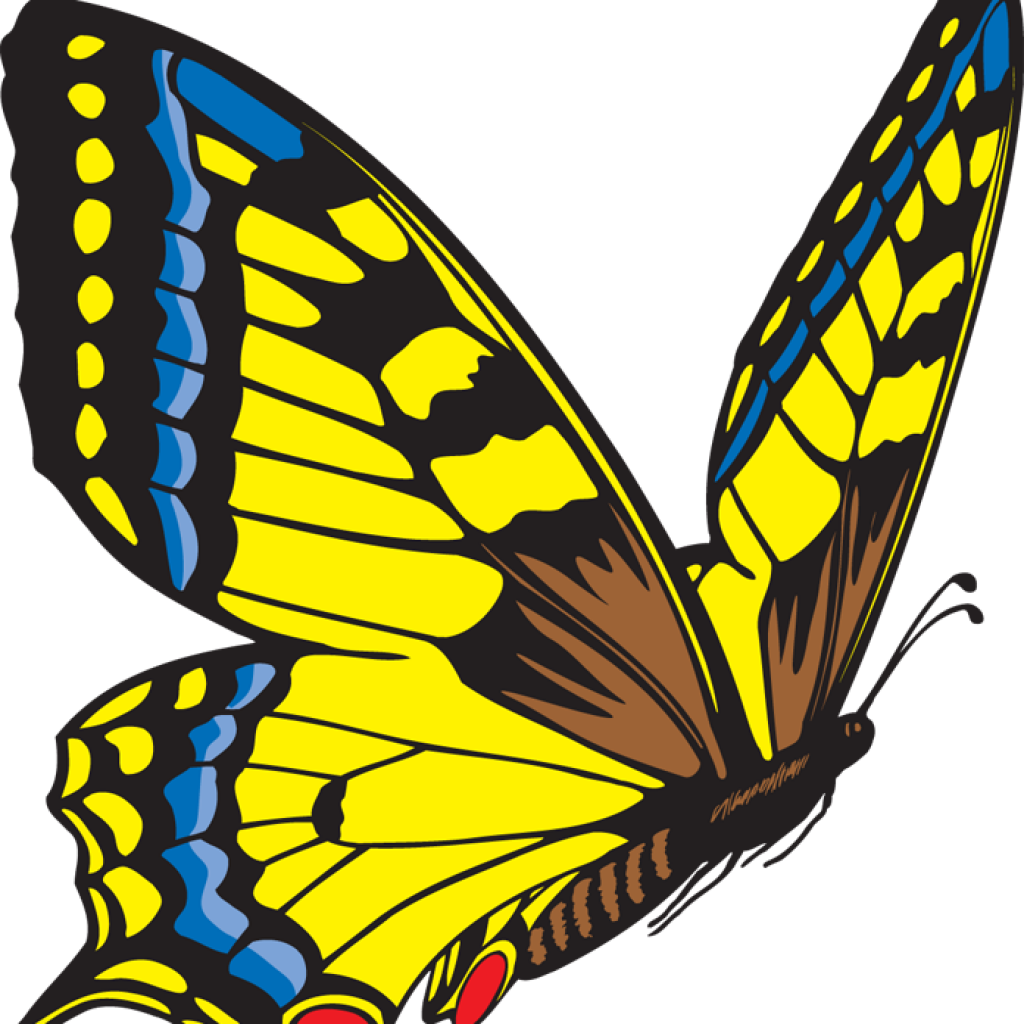 Butterfly Clipart Free Clipart Hatenylo Com Rh Hatenylo - Yellow Butterfly Clip Art (1024x1024)