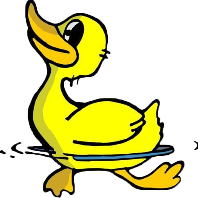 Swimming Duck 641*641 Transprent Png Free Download - Swimming Duck 641*641 Transprent Png Free Download (641x641)