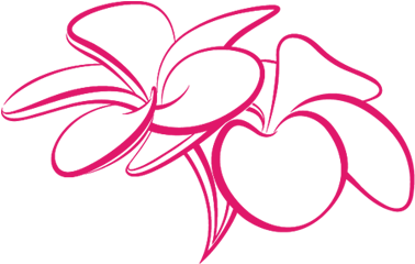 Cacee Nail & Spa Products - Cacee Nail & Spa Products (482x394)