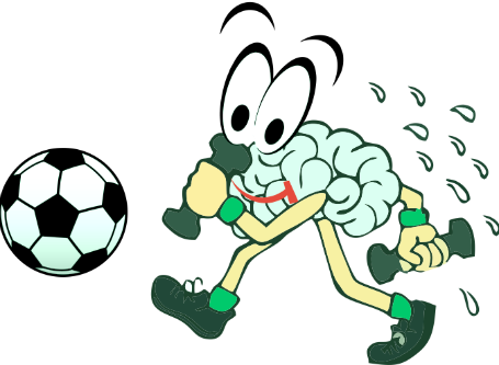 Cognitive Soccer - Video (455x333)