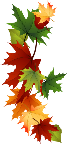Fall Leaves Fall Clip Art Autumn Clip Art Leaves Clip - Vermont-laub-tasse Tasse (304x600)