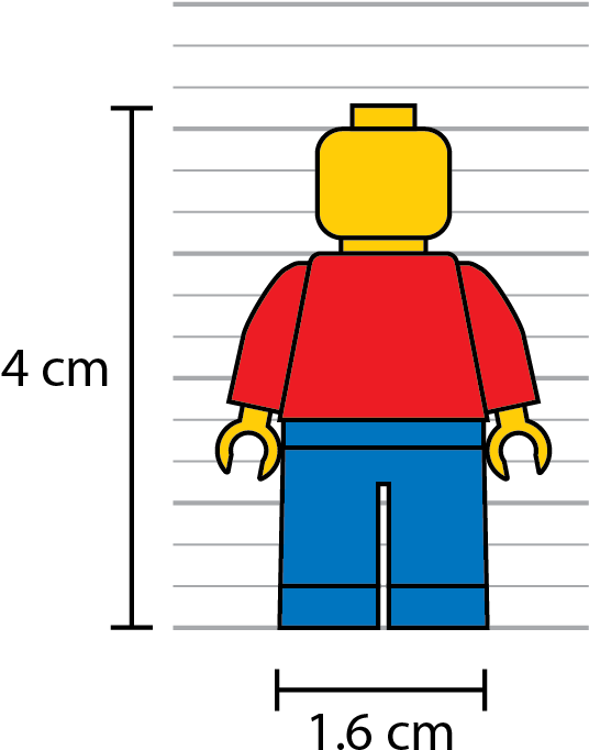 Width And Height Of Classic Lego Minifigure - Tall Is A Lego Minifigure (661x756)