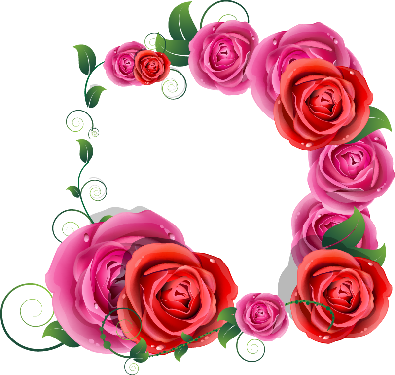 Png Клипарт "beautiful Flowers" - Beautiful Flower Good Morning (801x760)