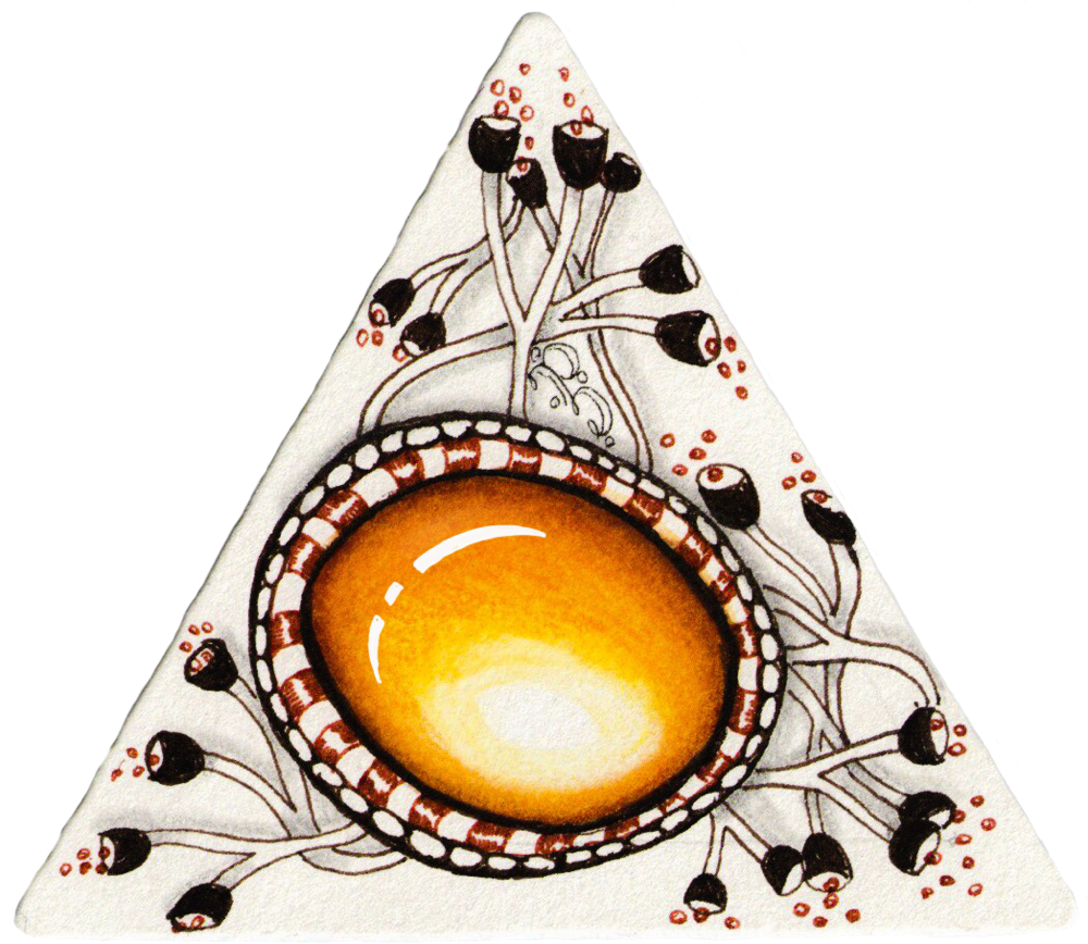 Diva Challenge - .com (1000x868)