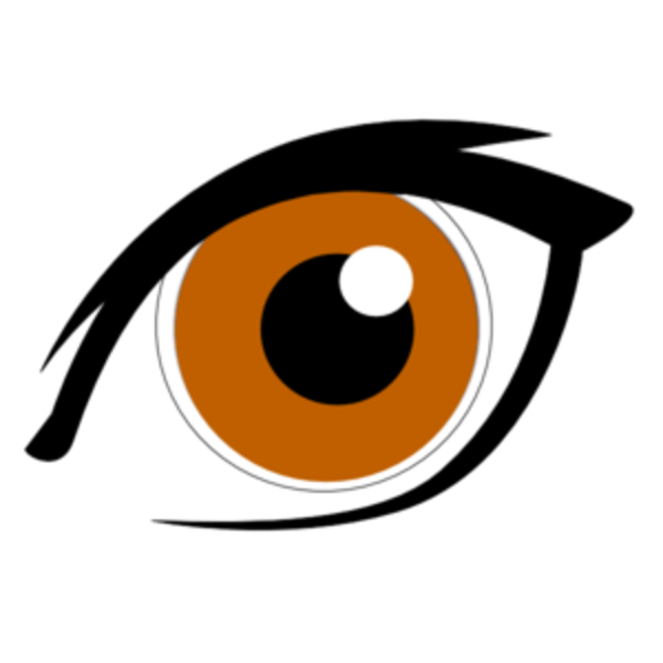 Brown Eyes Clipart Hazel Eyes - Brown Eyes Cartoon (600x600)