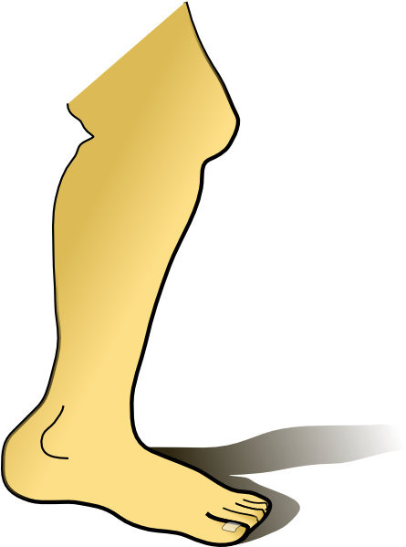 Break A Leg Clipart Of Joint, - Break A Leg Clipart Of Joint, (558x599)
