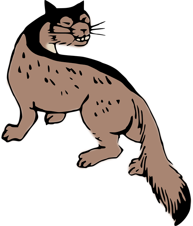 Hyena Cartoon 4, Buy Clip Art - Weasel Shower Curtain (614x720)