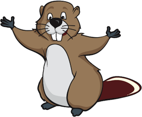 Beaver Images - Cartoon Picture Of Beaver (500x500)