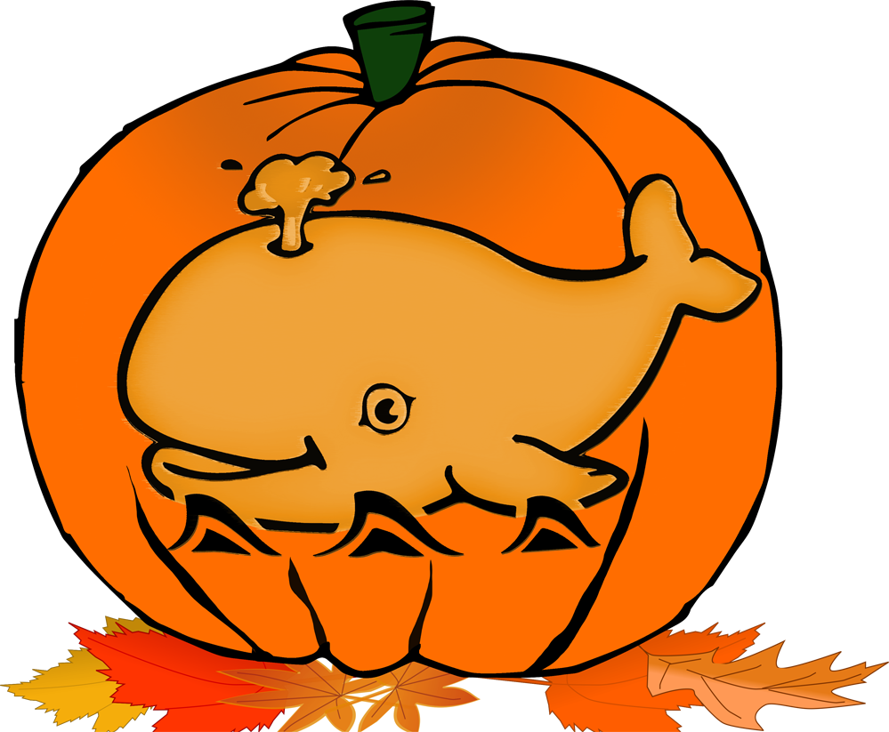Fall Festival - Whale Coloring Pages For Kids (999x823)