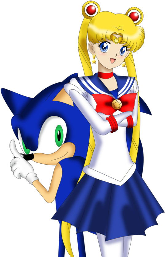 Sailor Moon And Sonic Crossover - Sonic The Hedgehog Sailor Moon (894x894)