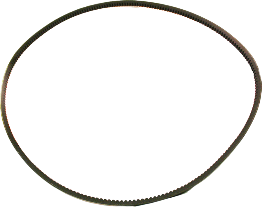 Dexter - Pearl (900x712)