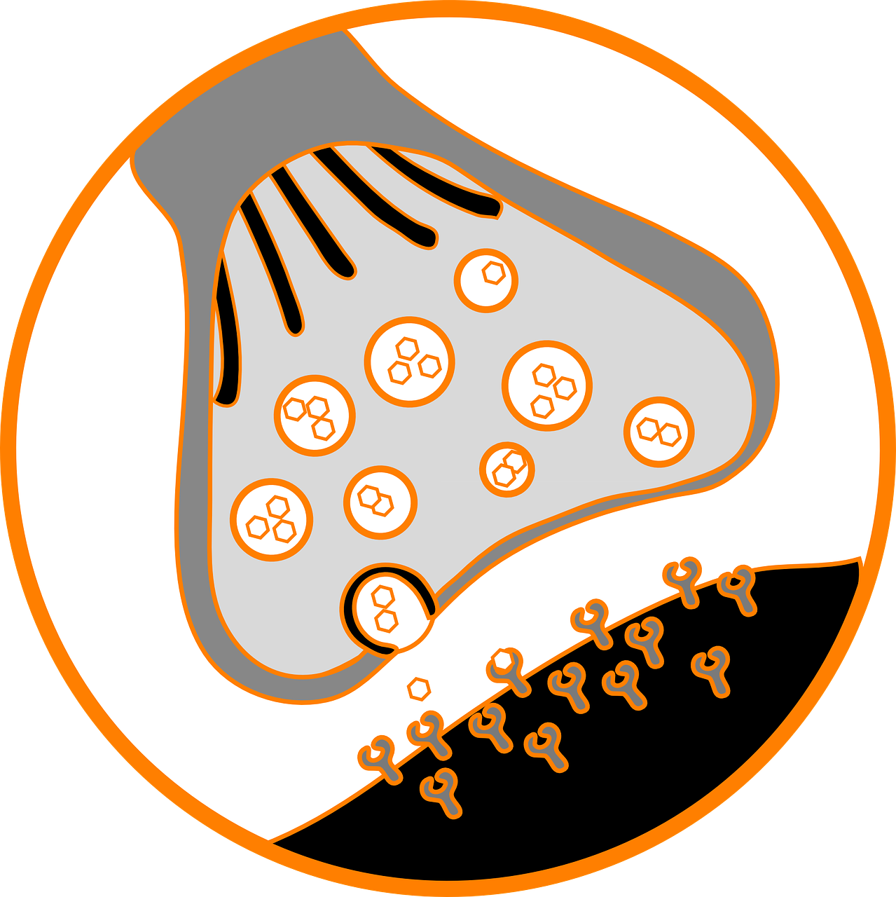 Science-305773 1280 - Low Levels Of Serotonin (1279x1280)