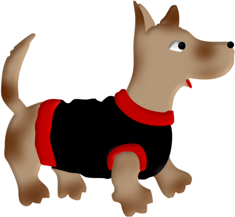 Chien1avril2 - Dog (800x738)