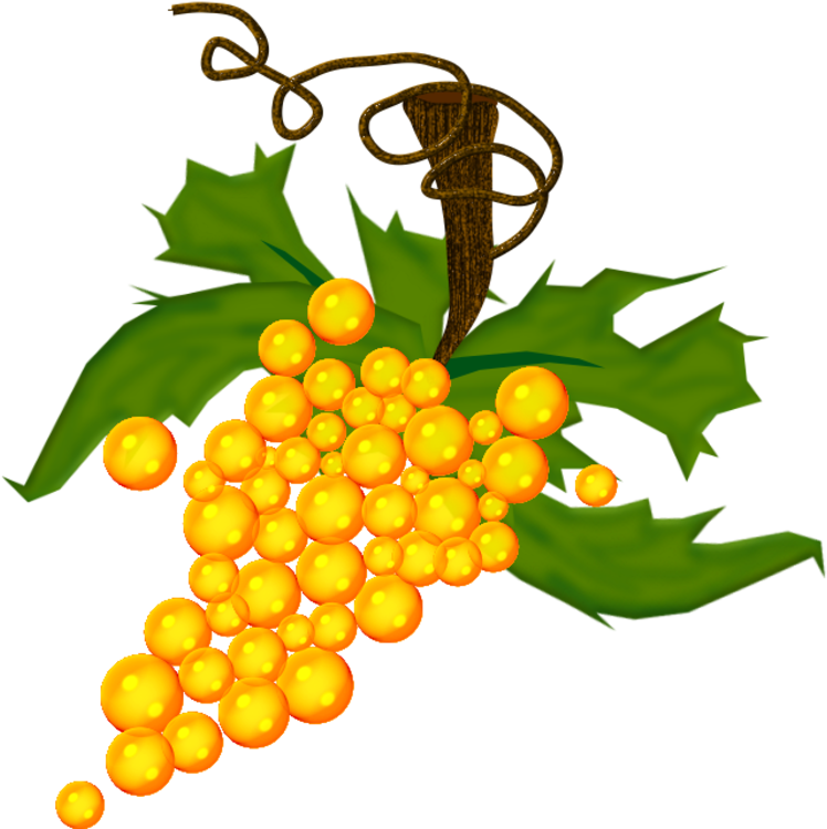 Tubes Fruits - Grape (800x759)