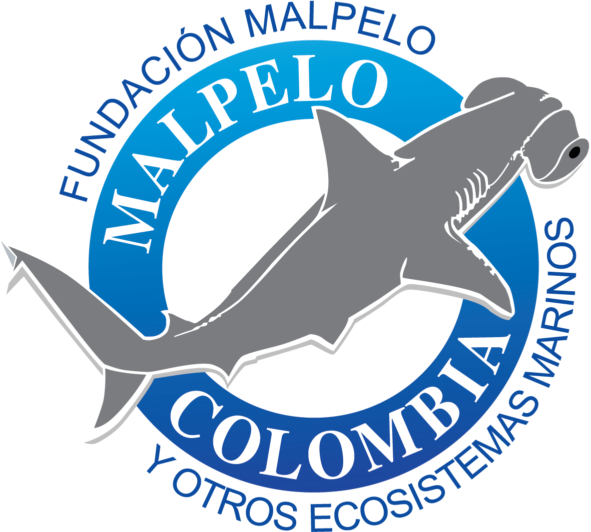 Inventario De Invertebrados Marinos Del Sff Isla Malpelo, - Inventario De Invertebrados Marinos Del Sff Isla Malpelo, (1594x1594)
