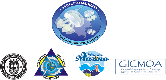 Medusario De Acuario Mundo Marino - Universidad De Bogotá Jorge Tadeo Lozano (741x365)