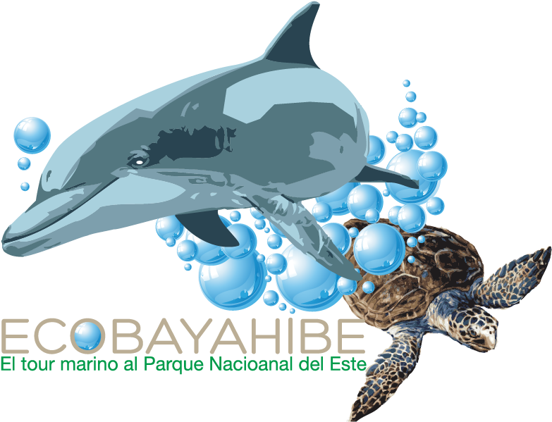 #day2 #tournament #mcdcopen2018 #marina #logo #workout - Loggerhead Sea Turtle (908x908)