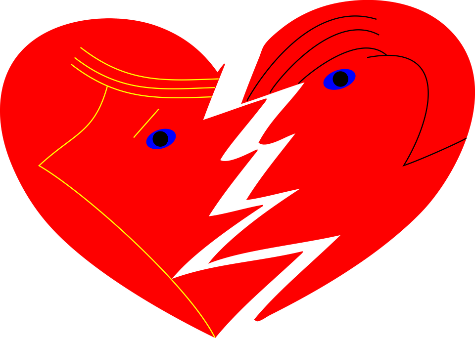Real Heart Broken Heart Free Pictures On Pixabay Clipart - Imagem Com Carinha De Coração (1920x1369)