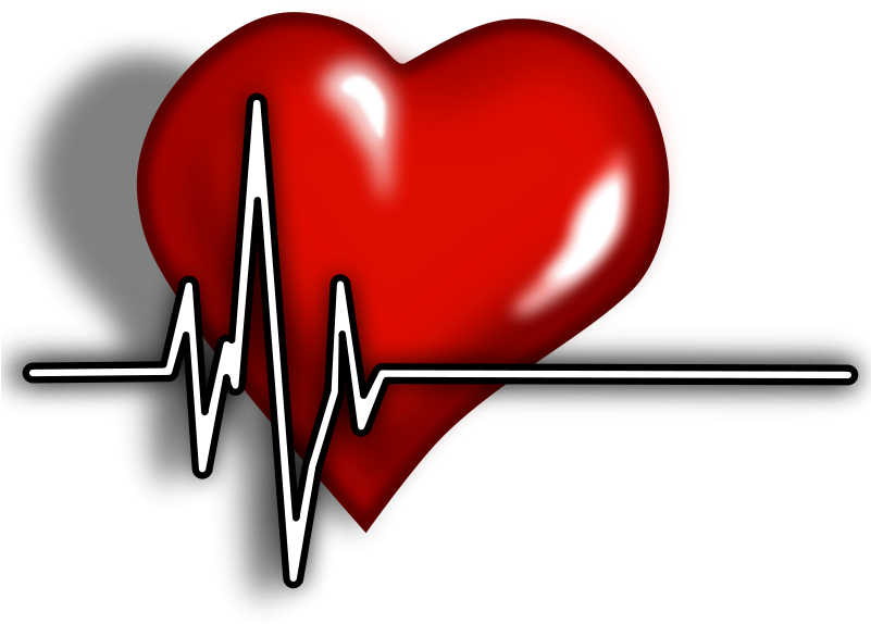 Heart Ecg Logo Small Clipart 300pixel Size, Free Design - Cardiac Clipart (800x600)