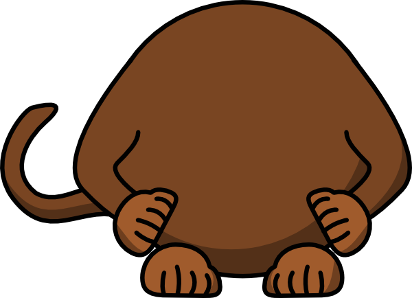 Monkey Body Clip Art At Clker Com Vector Online Animal - Body Of A Monkey (600x434)