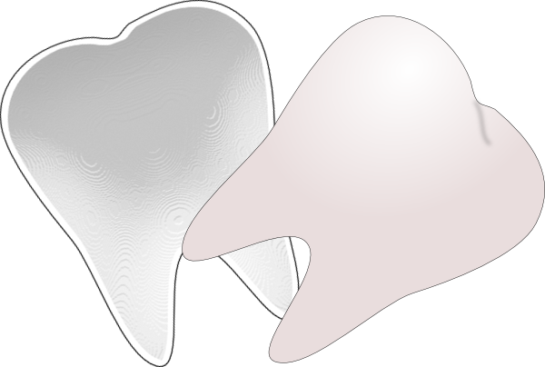 Tooth - Clipart - Tooth Clip Art (1280x1020)