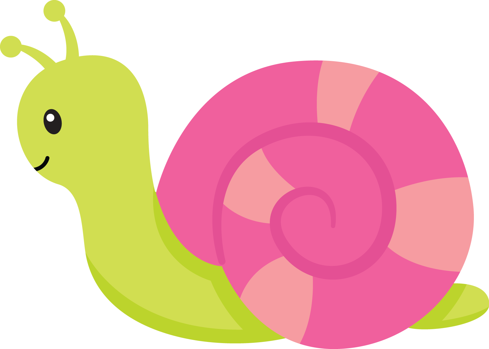 Jardim - Minus - Pink Snail Clipart (1650x1180)