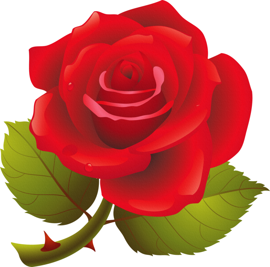 Looking For Free Clip Art Edit Your Photo With Free - Clip Art Of Rose (899x891)