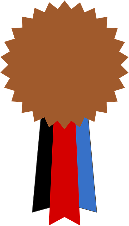 Certificate Diploma Medal Award Medallion - Grizzly Coolers 15 Quart Cooler White Irp-9100-w (414x720)