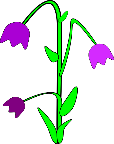Purple Flower Clipart - Bells Flower Clipart (634x800)