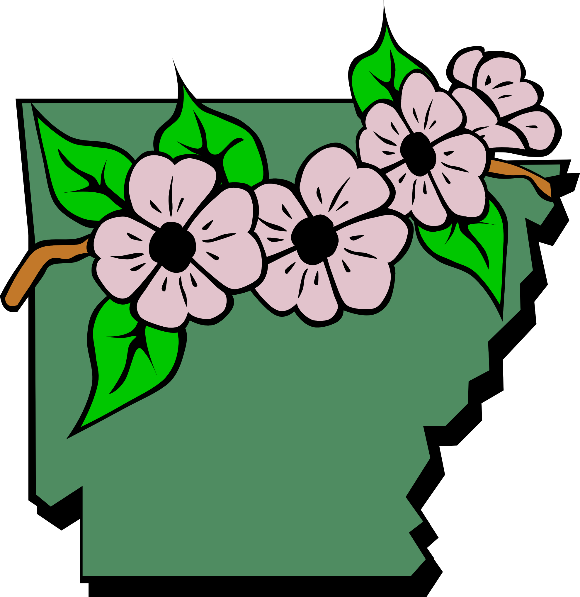 Arkansas State Flower Clipart - Arkansas State Flower Clip Art (1979x2036)