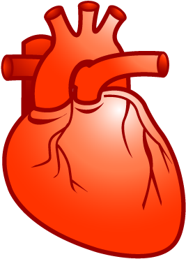 Heart Cardiology / Plastic Xp / 400px / Icon Gallery - Hadith On Show Off (400x400)