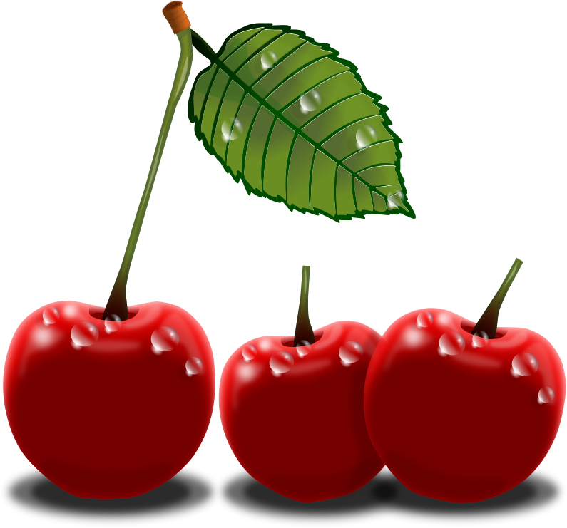 Realistic Cherries Clip Art - Cherry Png Clip Art (795x741)