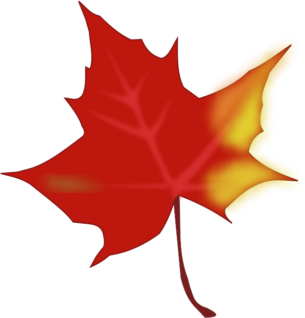 Autumn Clip Art Download - Leaf Autumn Vector Png (732x800)