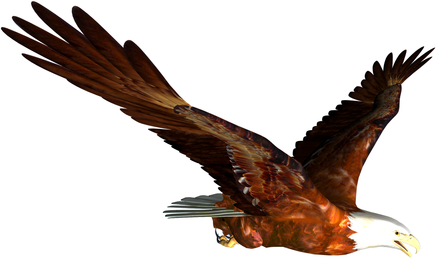 Very Attractive Design High Resolution Clipart Free - Flying Eagle Png (1600x1131)