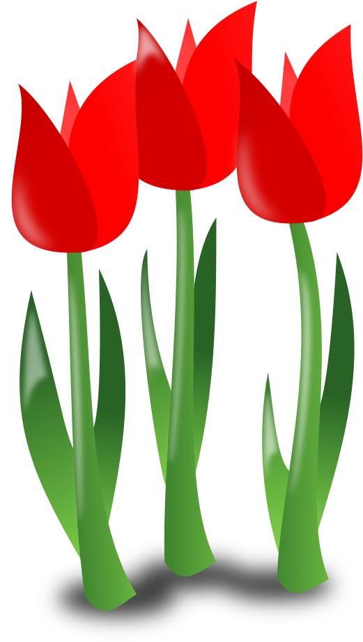 Mother Day Icon - Mother's Day Icon (1000x1000)