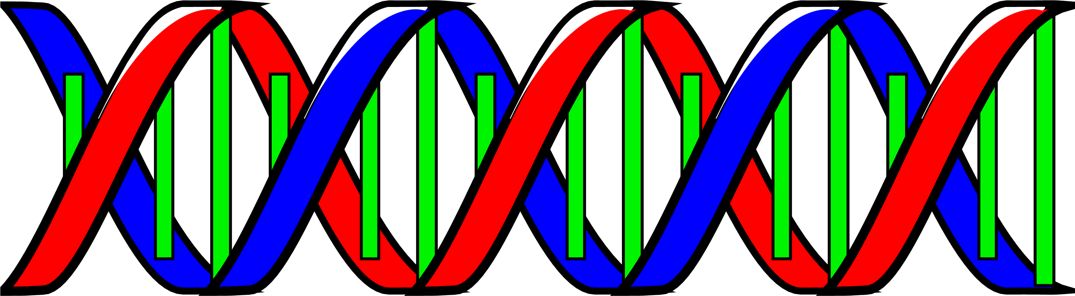 Double Helix - Dna Double Helix Clip Art (3549x978)