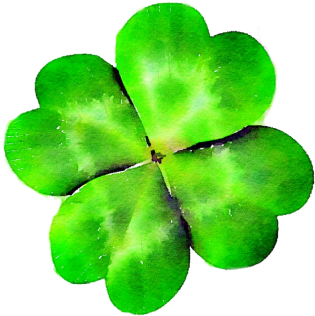 Four Leaf Clover, Clover, Green, St Patty's Day Png - クローバー (640x640)