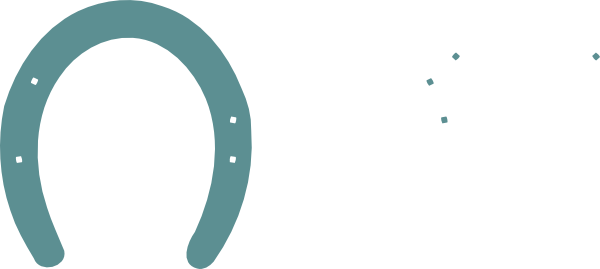 Client Services Cobus Vermeulen Author - Horseshoe (600x269)