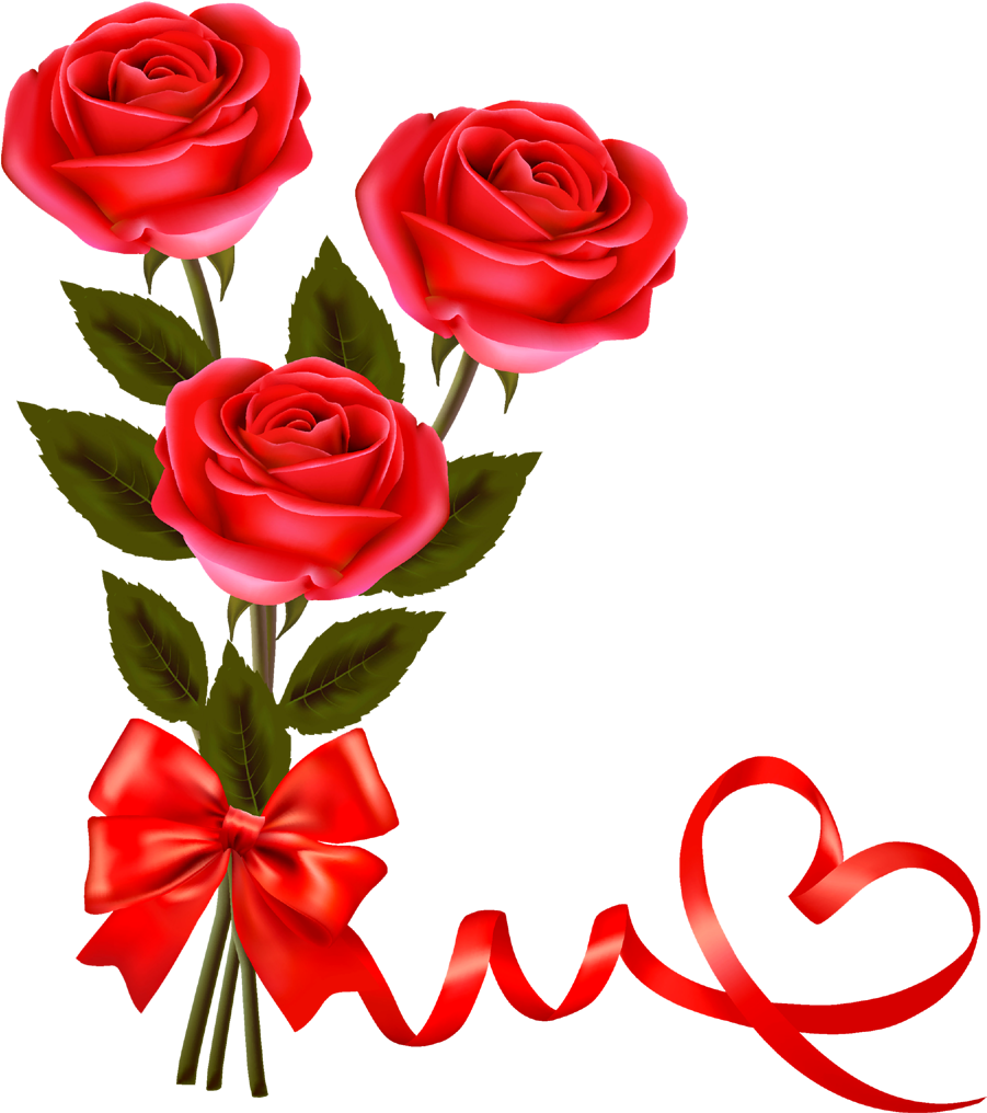 Image - Rose Image Hd Png (1006x1184)