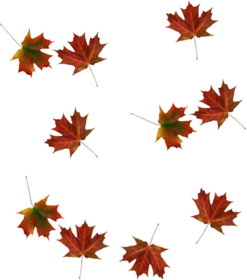 Falling Leaves Pictures And Wallpaper Fallen Tree - Tree Leaves Falling Png (353x400)