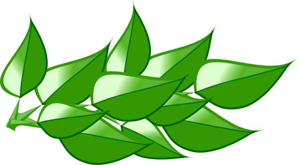 Leaves 4 Clip Art - Leaves Clipart (600x333)