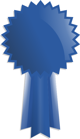 Blue Ribbon Award Clip Art - Award Ribbon Clipart Transparent (342x593)