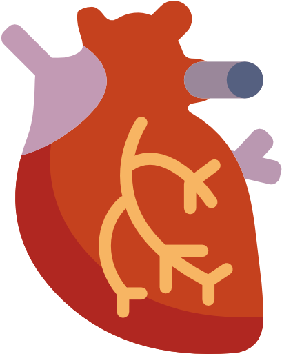 Cardiovascular Health - Cause Les Maladie Cardio Vasculaire (512x512)