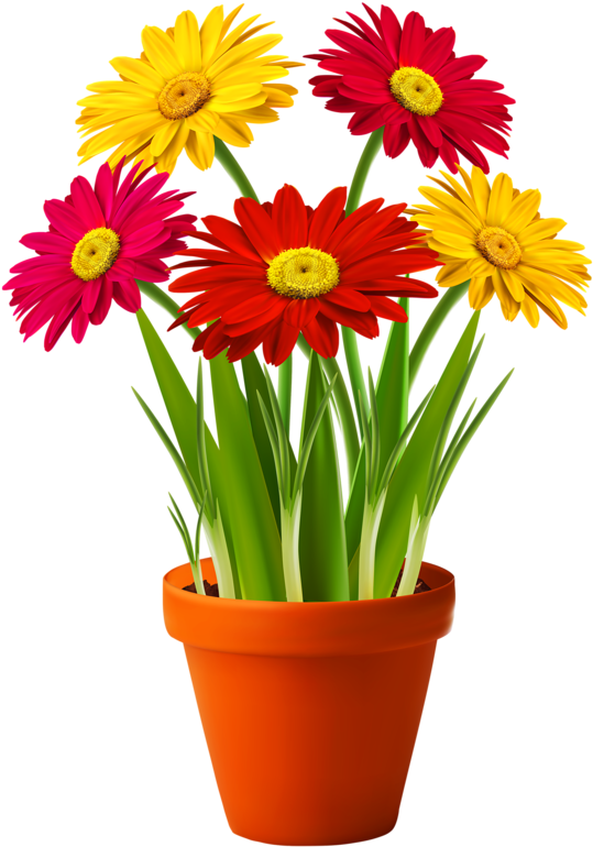 Pin By Sandy Coffman On Everything For A Garden - Flowers In A Flower Pot (567x800)
