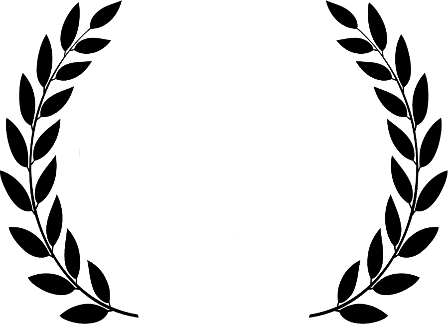 Award Png Transparent Image - General Assembly First Committee (899x650)