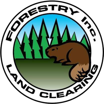 Forestry Inc - Forestry Inc. (417x450)