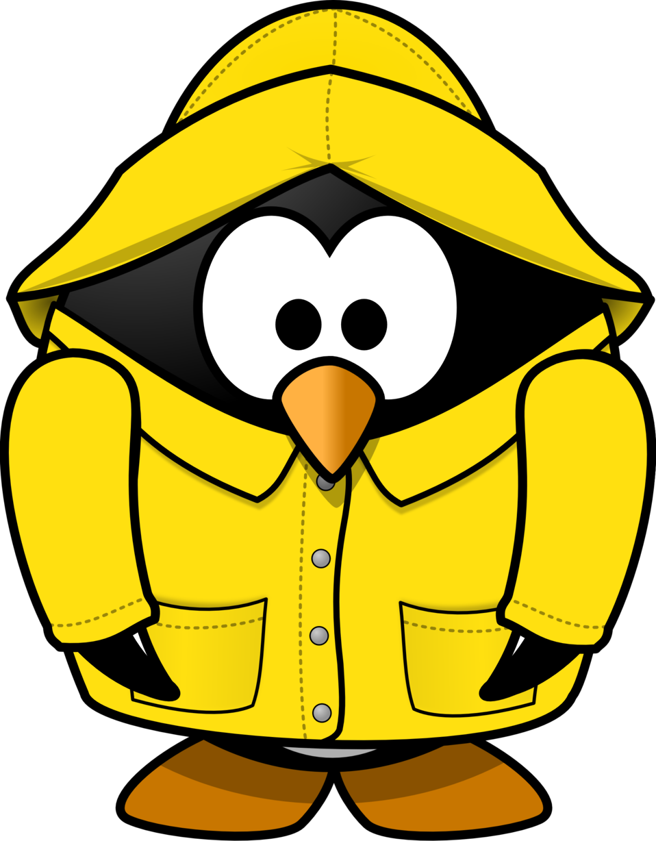 Clip Art Wet Bird Public Domain Image Penguin In The - Raincoat Clipart (958x1228)